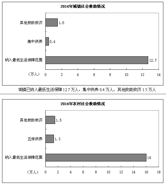 社会救助数据元素，构建与完善社会救助体系的关键要素探究