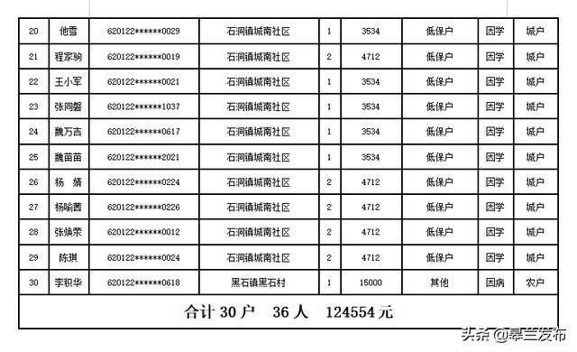 2024年临时救助申请撰写指南