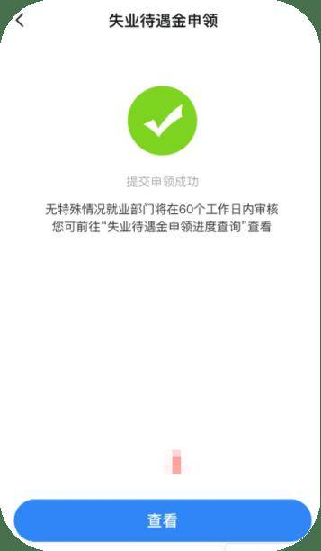 详细步骤与实用技巧，如何查询失业金审核进度？