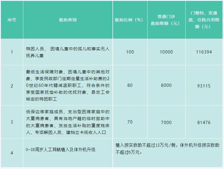 医疗救助申请书（最新版 2024）提交指南