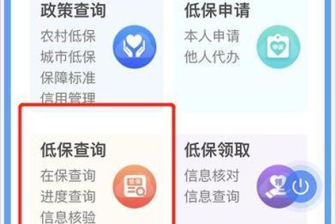 低保录入系统及其查询功能的重要性